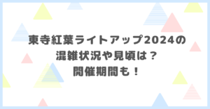 東寺紅葉ライトアップ2024の混雑状況や見頃は？開催期間について調べました。